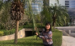 runaway韩国动漫免费观看完整